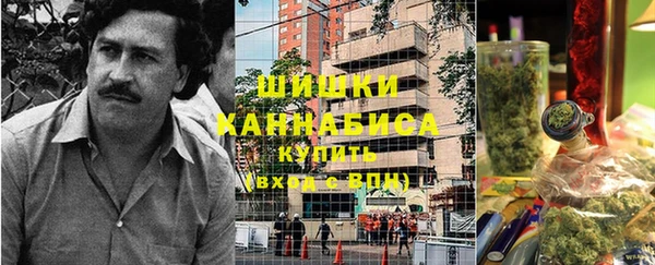 трава Арсеньев