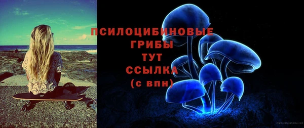 трава Арсеньев