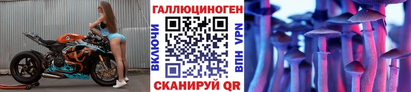 MEGA маркетплейс  Пыть-Ях  Псилоцибиновые грибы Psilocybe 